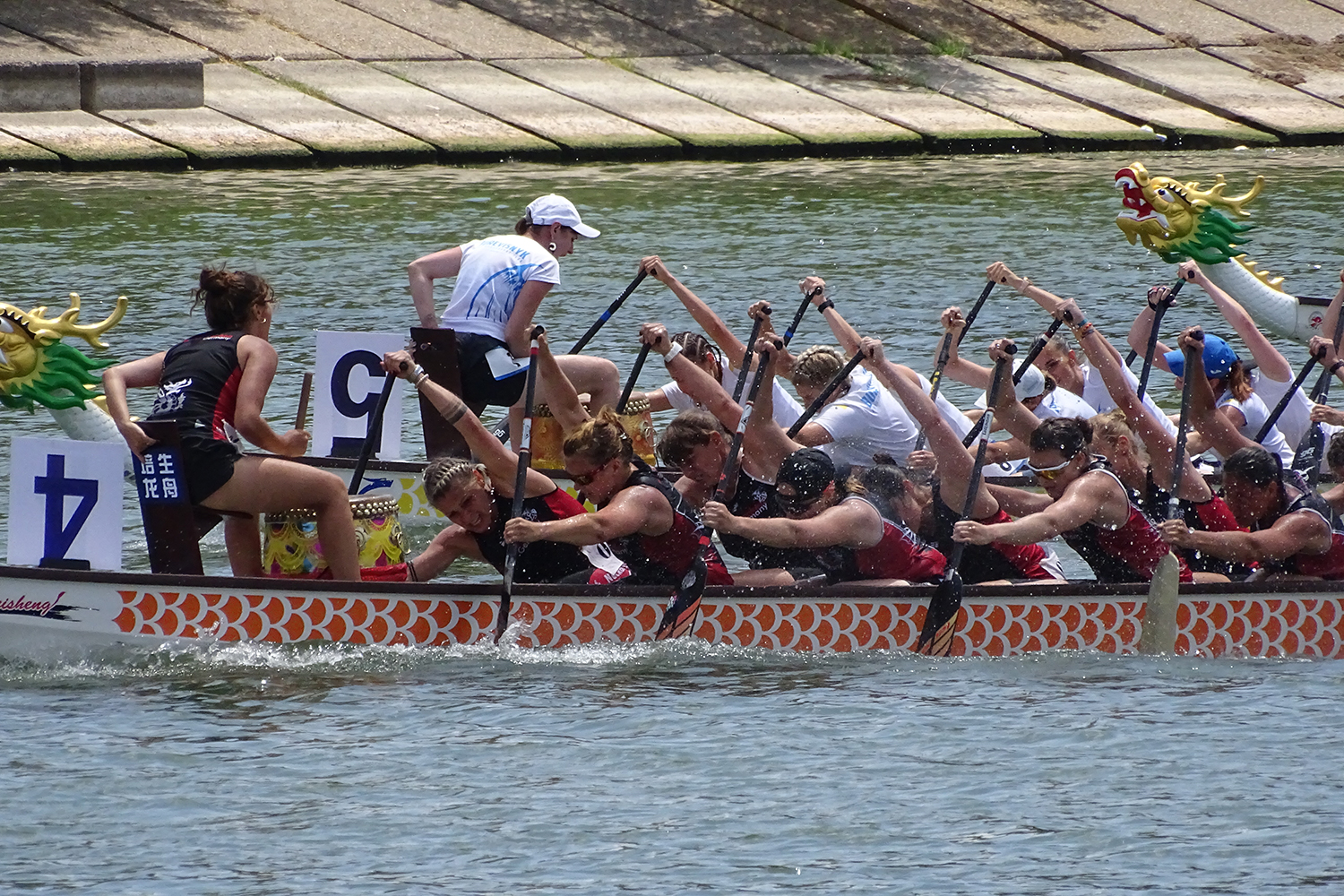 DSC04435web